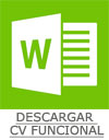Elaboración del currículum vitae en la actualidad